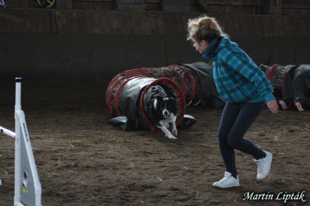 Agility preteky SPAM - Poľov