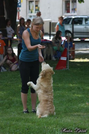 Ukážky agility a weight pullingu - Mesto deťom SNV